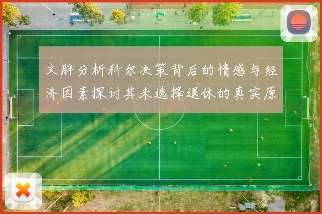 文胖分析科尔决策背后的情感与经济因素探讨其未选择退休的真实原因
