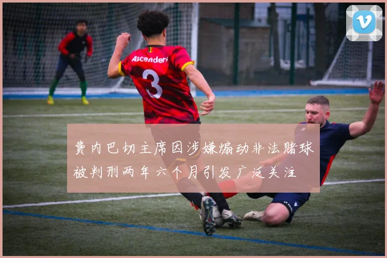 费内巴切主席因涉嫌煽动非法赌球被判刑两年六个月引发广泛关注