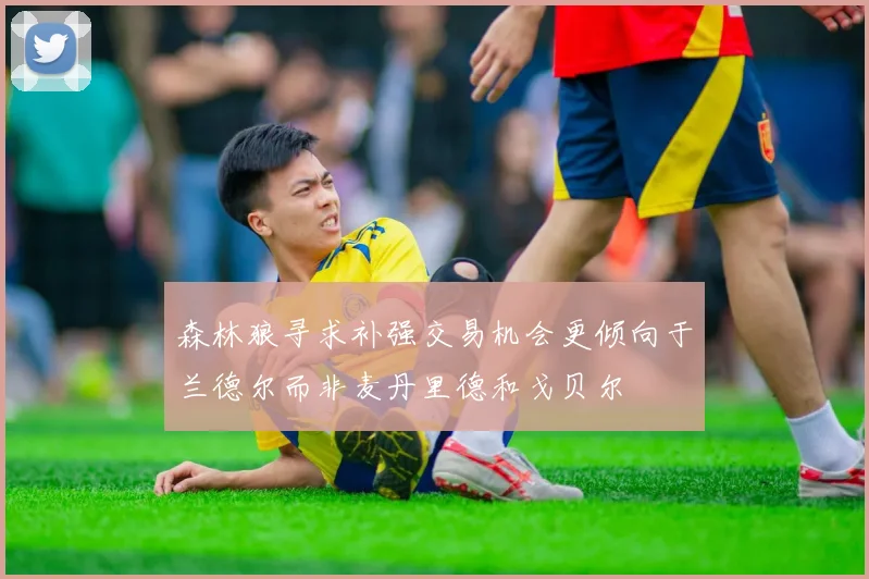森林狼寻求补强交易机会更倾向于兰德尔而非麦丹里德和戈贝尔